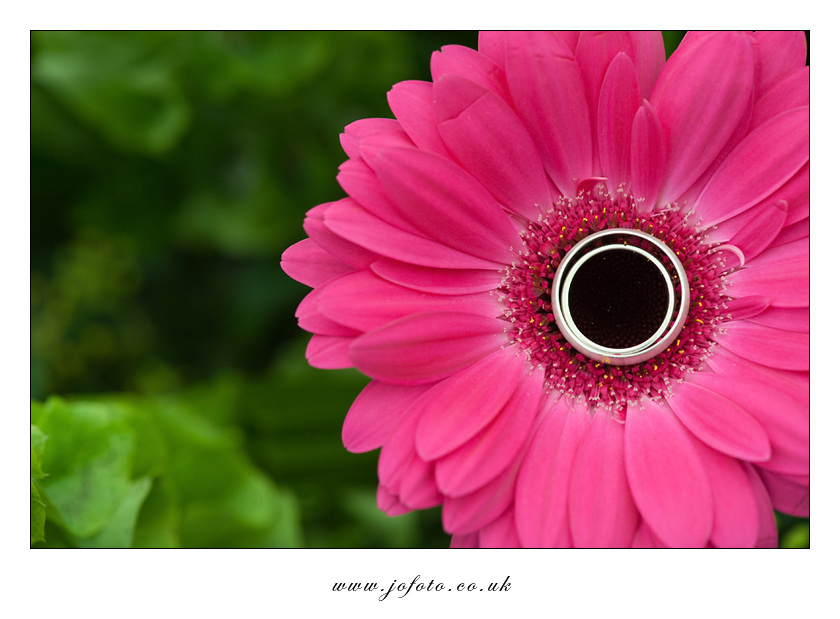 Wedding Photographer Sussex Wedding Photographers